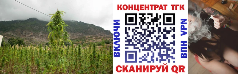 ТГК Wax Бикин