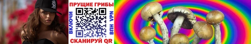цены   Бикин  блэк спрут ONION  Галлюциногенные грибы мицелий 
